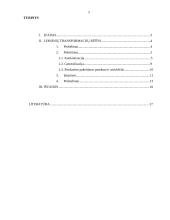 Leksinės transformacijos 2 puslapis