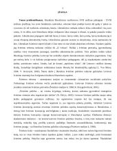 Liberalios švietimo politikos taikymo Lietuvos švietimo sistemoje galimybės 3 puslapis