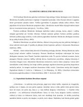 Liberalios švietimo politikos taikymo Lietuvos švietimo sistemoje galimybės 5 puslapis