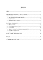 Euras ir jo įvedimo problemos 2 puslapis