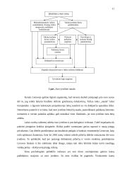 Euras ir jo įvedimo problemos 11 puslapis