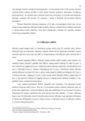 Euras ir jo įvedimo problemos 14 puslapis