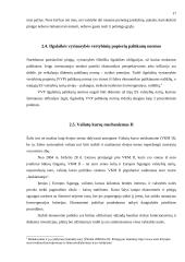 Euras ir jo įvedimo problemos 17 puslapis