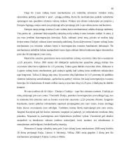 Euras ir jo įvedimo problemos 18 puslapis