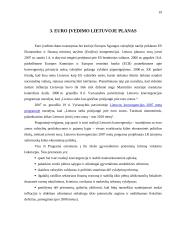 Euras ir jo įvedimo problemos 19 puslapis