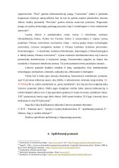 Lietuvos pramonė skirtingais laikotarpiais 13 puslapis