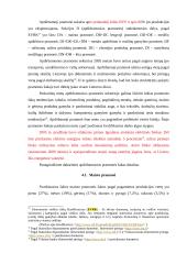 Lietuvos pramonė skirtingais laikotarpiais 14 puslapis