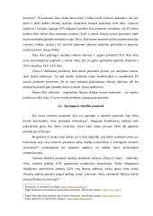 Lietuvos pramonė skirtingais laikotarpiais 15 puslapis