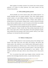 Lietuvos pramonė skirtingais laikotarpiais 16 puslapis