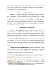 Lietuvos pramonė skirtingais laikotarpiais 18 puslapis