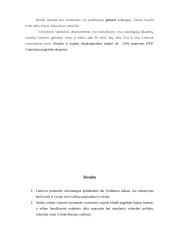 Lietuvos pramonė skirtingais laikotarpiais 20 puslapis