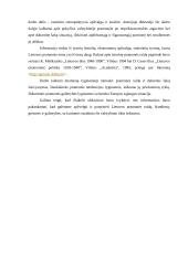 Lietuvos pramonė skirtingais laikotarpiais 3 puslapis