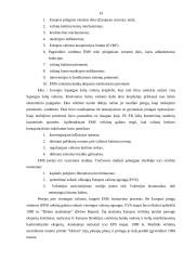 Euras ir euro įvedimas Lietuvoje 13 puslapis