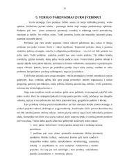 Euras ir euro įvedimas Lietuvoje 16 puslapis