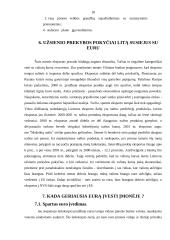 Euras ir euro įvedimas Lietuvoje 17 puslapis