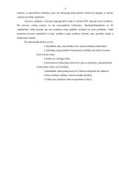 Euras ir euro įvedimas Lietuvoje 3 puslapis