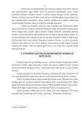 Euras ir euro įvedimas Lietuvoje 5 puslapis