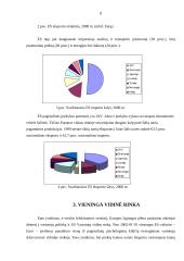 Euras ir euro įvedimas Lietuvoje 7 puslapis