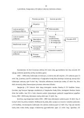 Euras ir euro įvedimas Lietuvoje 9 puslapis