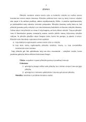 Lietuvos Respublikos (LR) pilietybės gavimas ir praradimas 3 puslapis