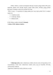 Europos centrinių bankų sistema 11 puslapis