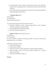 Europos centrinių bankų sistema 12 puslapis