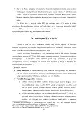 Europos ekonominė ir valiutinė sąjunga 11 puslapis