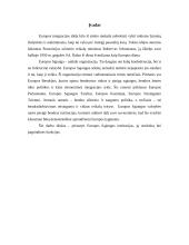 Europos institucijų struktūra ir funkcijos 2 puslapis