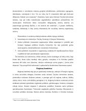 Europos institucijų struktūra ir funkcijos 11 puslapis