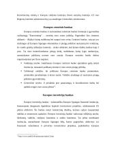 Europos institucijų struktūra ir funkcijos 12 puslapis