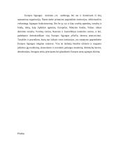 Europos institucijų struktūra ir funkcijos 14 puslapis