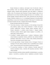 Europos institucijų struktūra ir funkcijos 7 puslapis