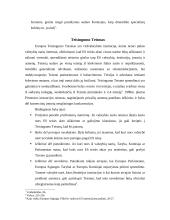 Europos institucijų struktūra ir funkcijos 8 puslapis