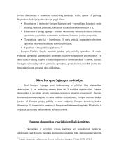 Europos institucijų struktūra ir funkcijos 10 puslapis