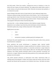 Europos Sąjungos (ES) parama 13 puslapis