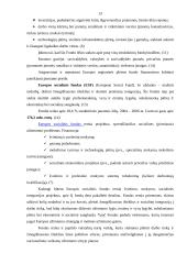 Europos Sąjungos (ES) parama Lietuvai 13 puslapis