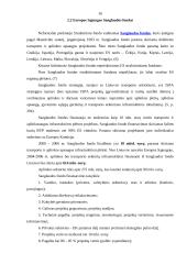 Europos Sąjungos (ES) parama Lietuvai 16 puslapis