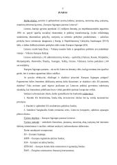 Europos Sąjungos (ES) parama Lietuvai 3 puslapis