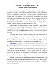 Europos Sąjungos (ES) parama Lietuvai 8 puslapis