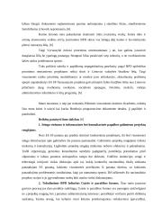 Europos Sąjungos parama ir jos reikšmė Lietuvai 20 puslapis