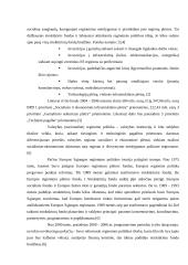 Europos Sąjungos parama ir jos reikšmė Lietuvai 3 puslapis