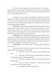 Europos Sąjungos parama ir jos reikšmė Lietuvai 4 puslapis