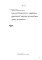 Minkšto baldo gaminio konstravimas 2 puslapis