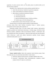 ES parama Lietuvai 11 puslapis