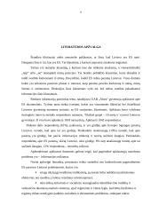 ES parama Lietuvai 5 puslapis