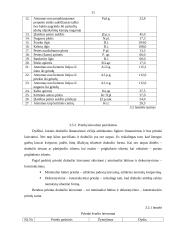 Moteriško kostiumo konstravimas 11 puslapis