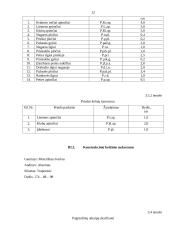 Moteriško kostiumo konstravimas 12 puslapis