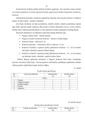 Moteriško kostiumo konstravimas 19 puslapis