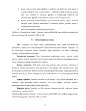 ES struktūrinių fondų plėtra Lietuvoje, jos teikiama nauda ir galimybės ja pasinaudoti 12 puslapis