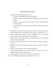 ES struktūrinių fondų plėtra Lietuvoje, jos teikiama nauda ir galimybės ja pasinaudoti 19 puslapis